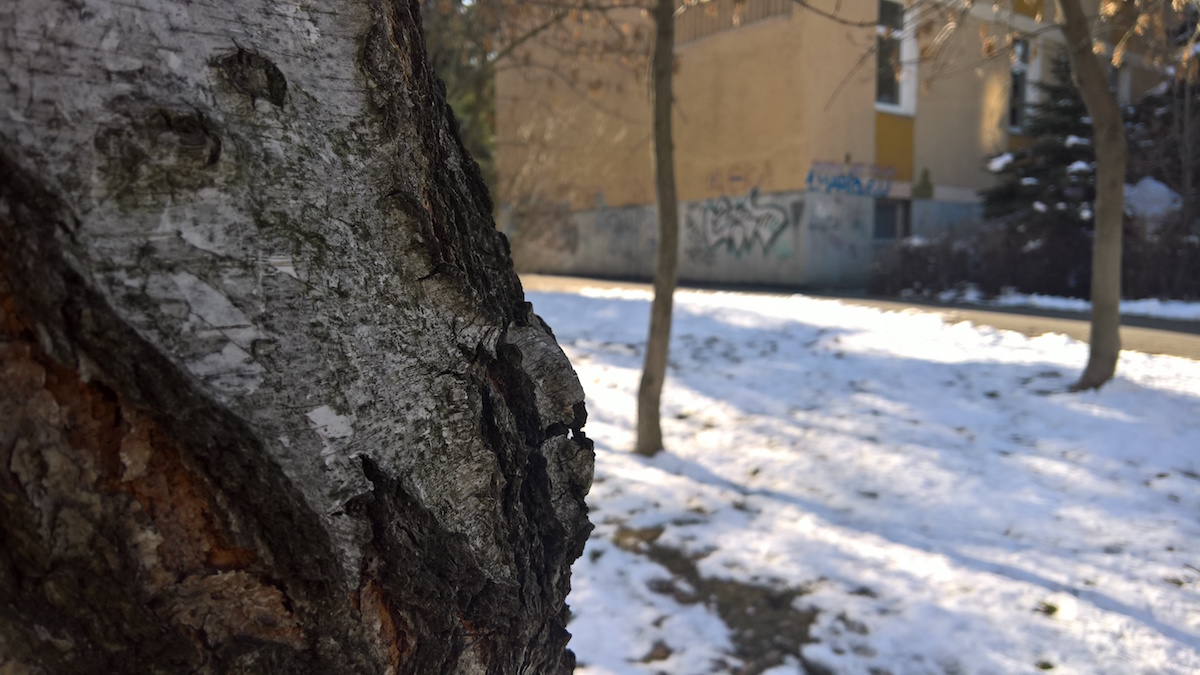 Lumia 950 Dual SIM видео ревю или незавършеният флагман на Microsoft