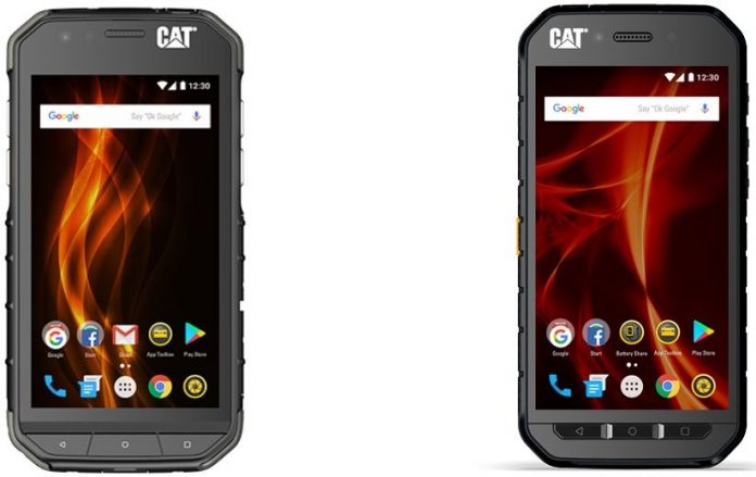 cat-phone-s41-s31