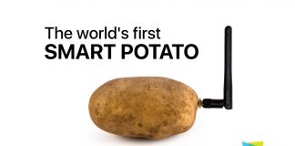 Smart Potato е умен картоф, виртуален асистент и добра шега в едно